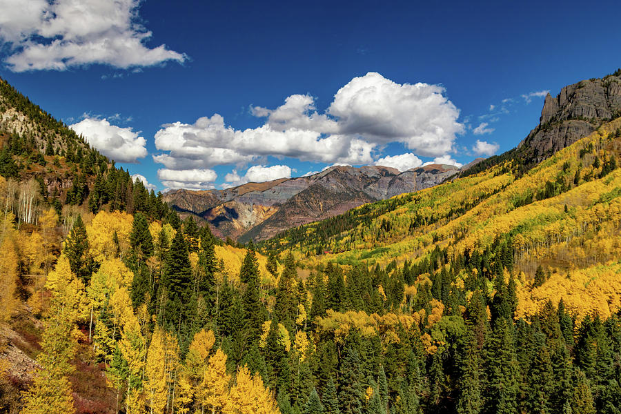 Autumn in Box Canyon Photograph by Norma Brandsberg - Fine Art America