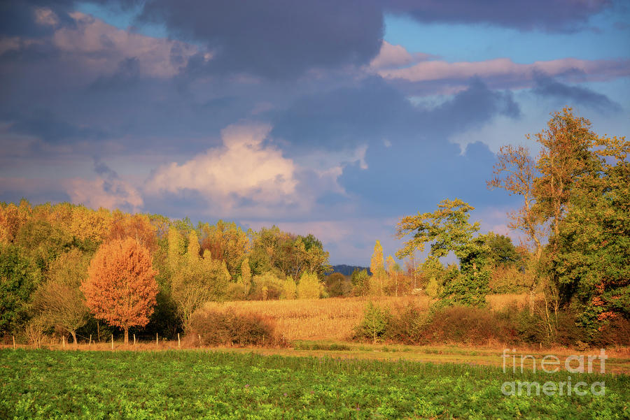 Autumn Photograph - Autumn In Burgundy by Delphimages Photo Creations Autumn Photograph - Autumn In Burgundy by Delphimages Photo Creations