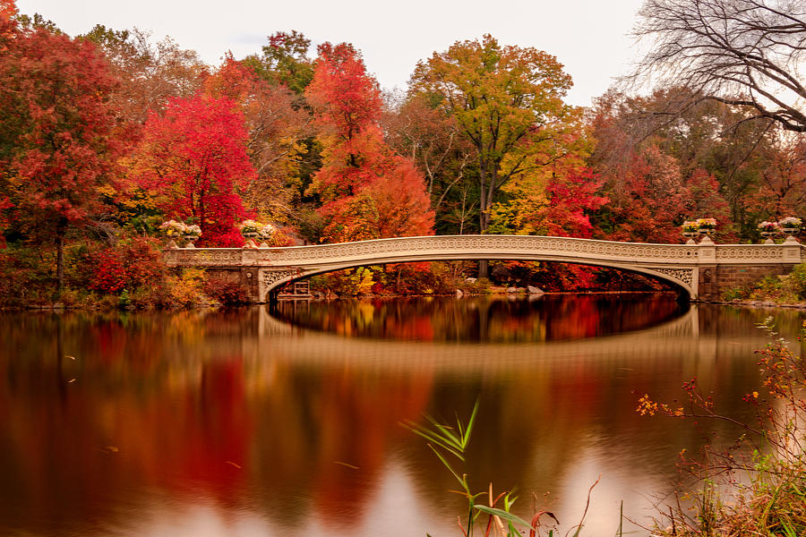 Autumn In Central Park Photograph by Ariel Ling