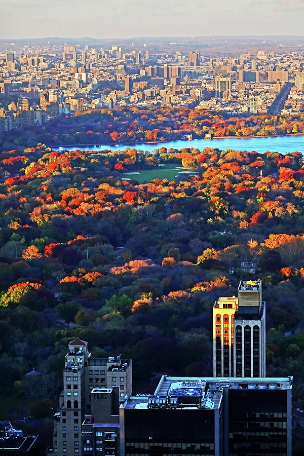 Autumn in Central Park New York NY Fall Foliage Buildings Photograph by Toby McGuire