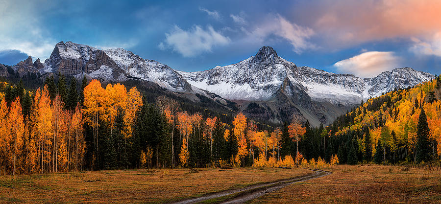 Autumn In Colorado Photograph by Mei Xu