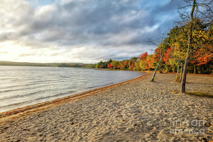 Autumn in Damariscotta Lake State Park, Maine Photograph by Felix Lai