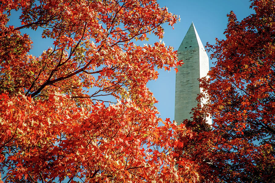 Autumn in DC Photograph by Bill Chizek