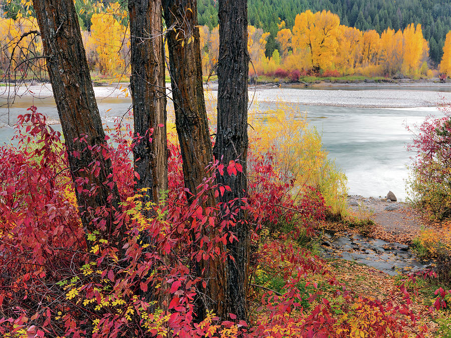Fall Photograph - Autumn in east Idaho by Leland D Howard
