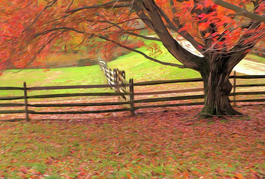 Autumn In Holmdel Park, Holmdel, Nj Photograph