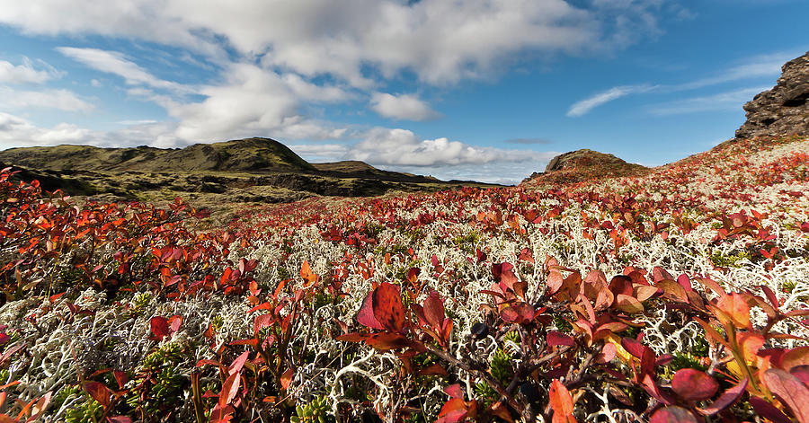Autumn In Iceland Highlands Photograph by Arnthor Aevarsson