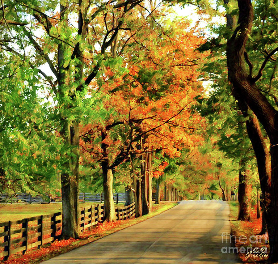 Autumn In Kentucky Digital Art by CAC Graphics