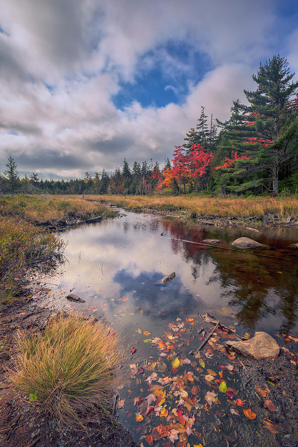Autumn In Maine 15 Photograph by Robert Fawcett