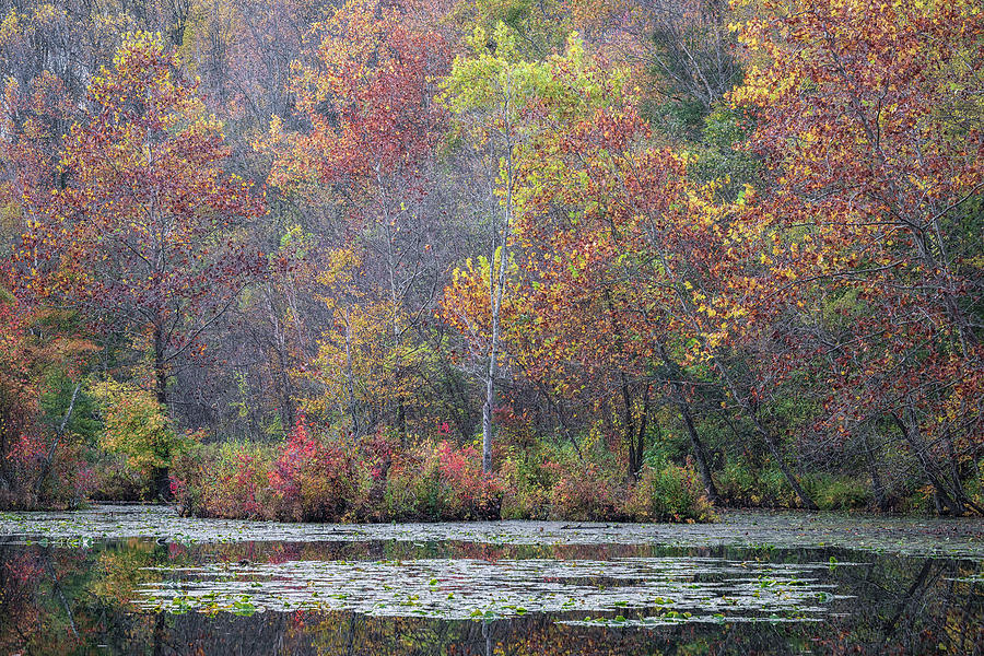 Autumn In Maryland 1 Photograph by Robert Fawcett