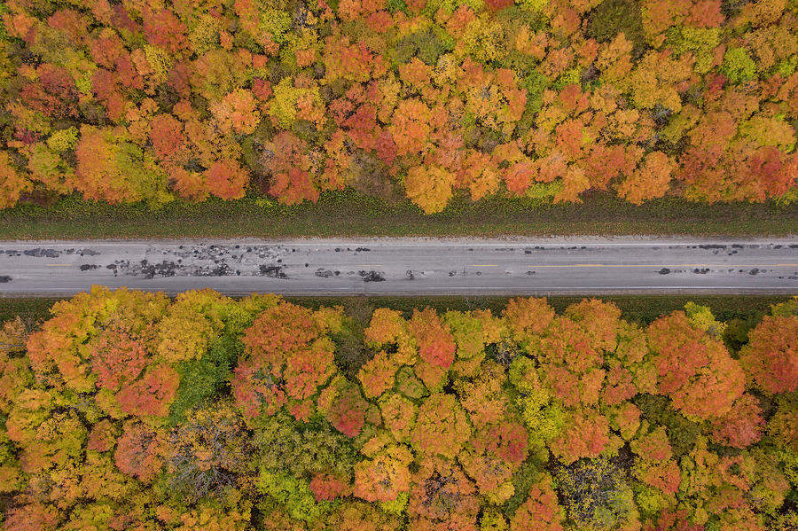Autumn in Michigan from Above  Photograph by John McGraw