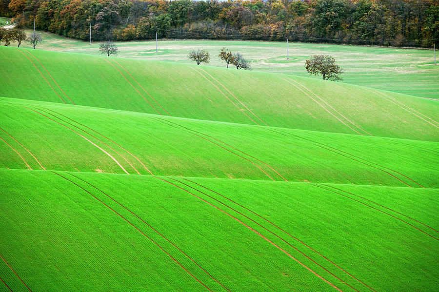 Autumn in South Moravia 12 by Dubi Roman Autumn in South Moravia 12 by Dubi Roman