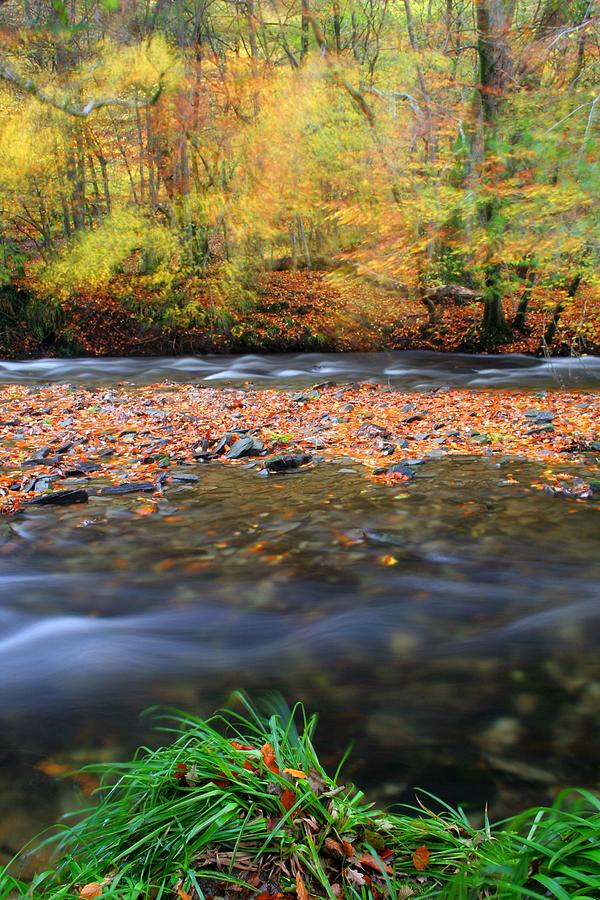 Autumn In Motion Photograph by Andrew Turner