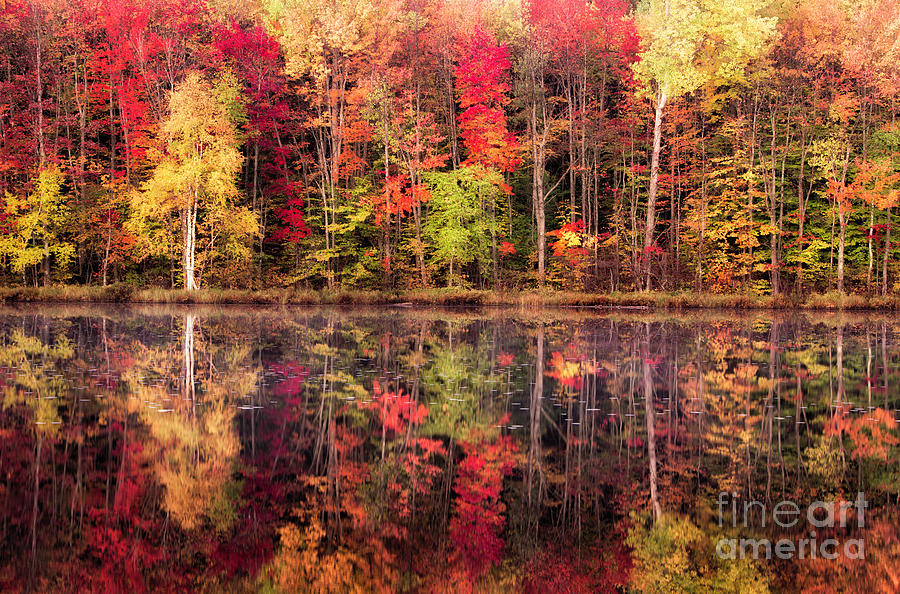 Autumn In Munising Michigan 2 Photograph by Timothy Hacker