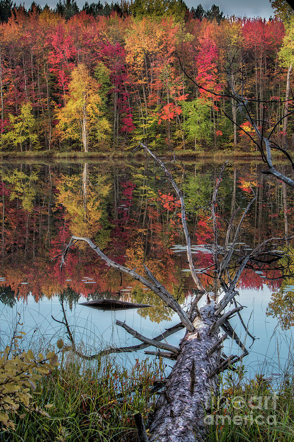 Autumn In Munising Michigan 3 Photograph by Timothy Hacker