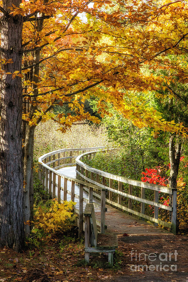 Autumn In Munising Michigan 5 Photograph by Timothy Hacker