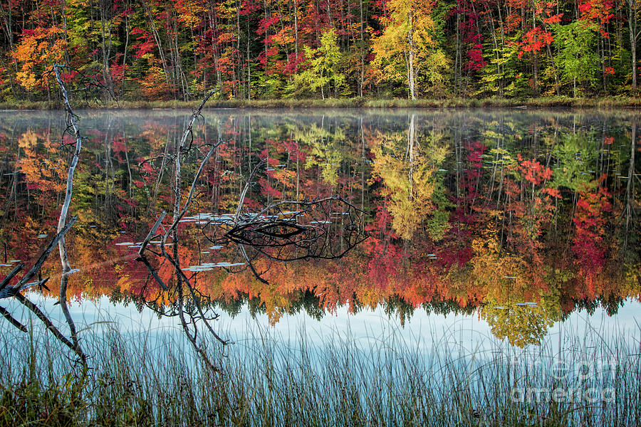 Autumn In Munising Michigan 6 Photograph by Timothy Hacker