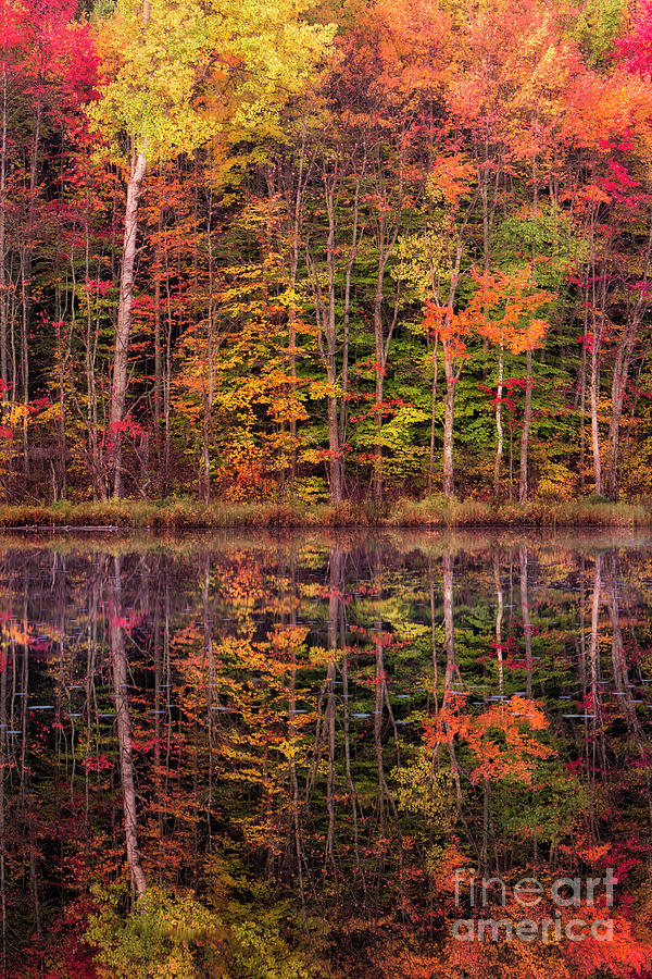 Autumn In Munising Michigan Photograph by Timothy Hacker