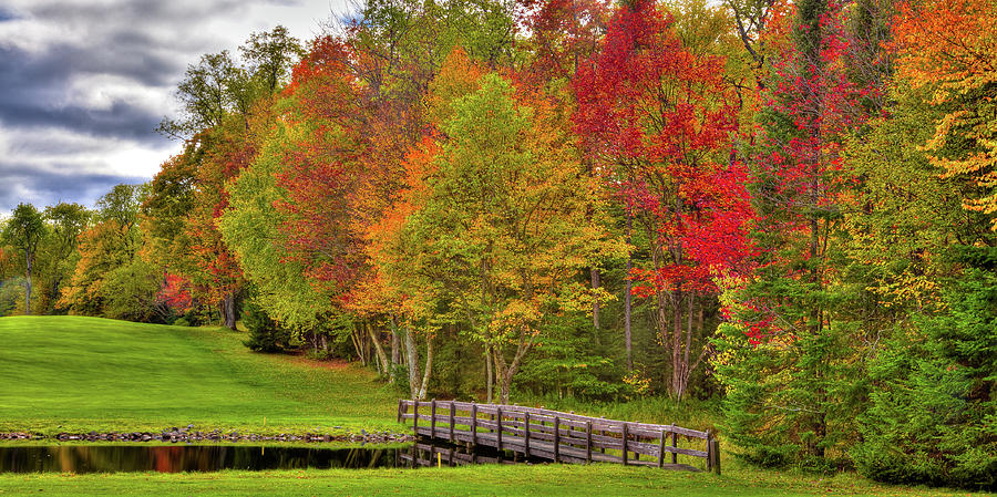 Autumn in New York Photograph by David Patterson