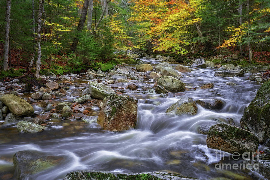 Autumn in NH by Sharon Seaward Autumn in NH by Sharon Seaward