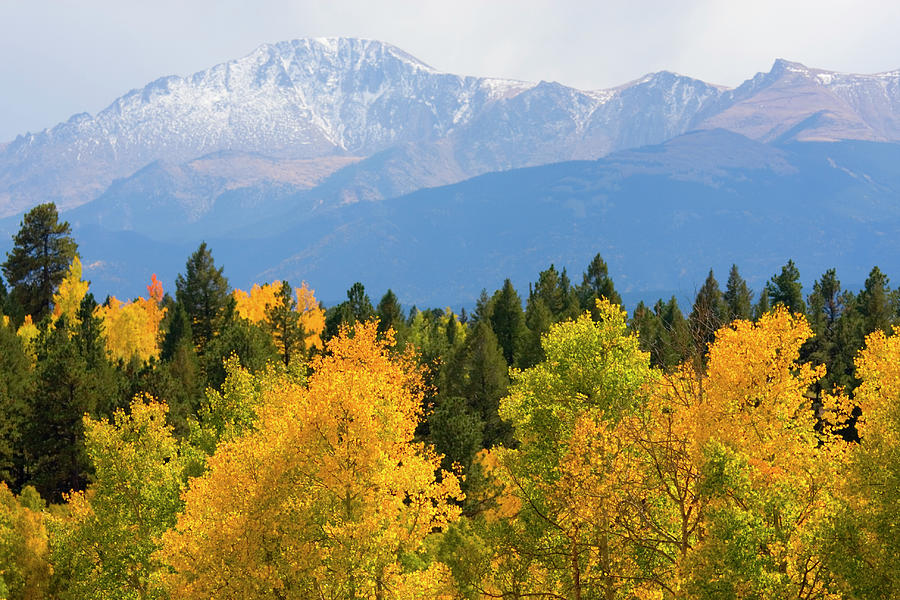 Autumn In Pike National Forest Photograph by Swkrullimaging