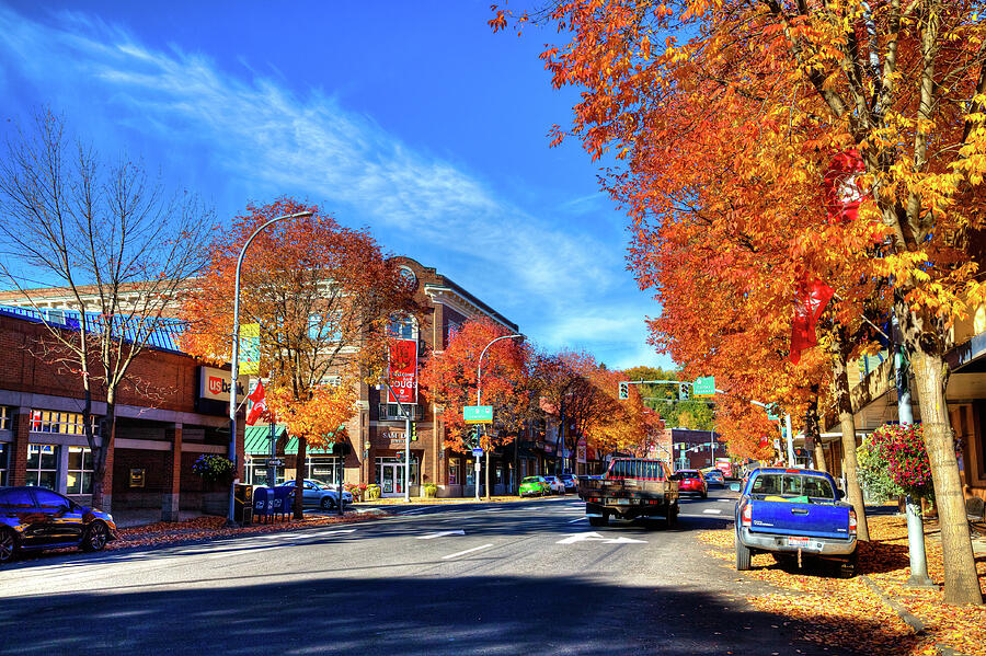 Autumn in Pullman Photograph by David Patterson
