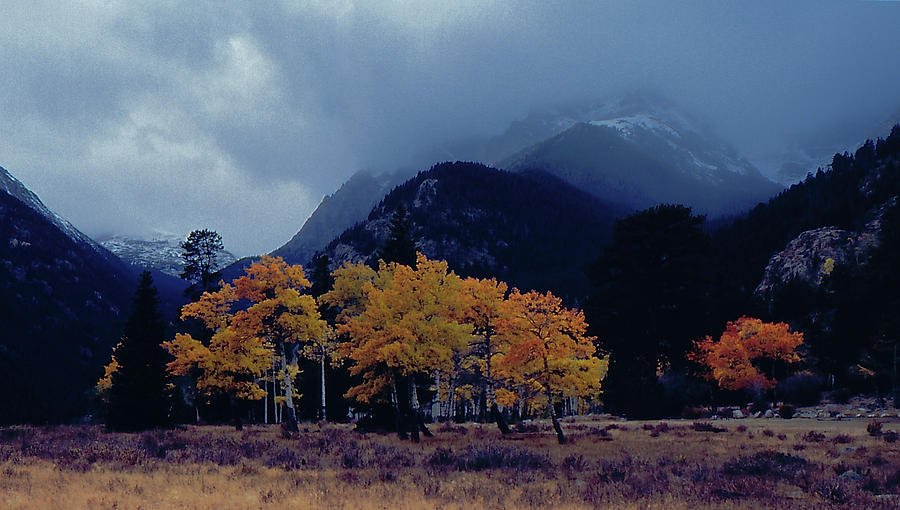 Autumn in Rocky Mountain National Park Photograph by S Katz