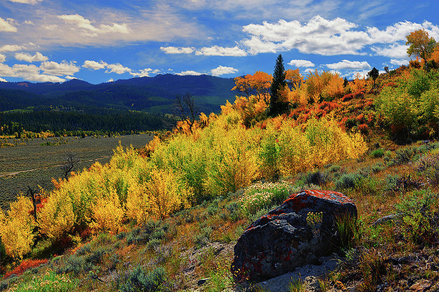 Autumn in the Back Country Photograph by Greg Norrell