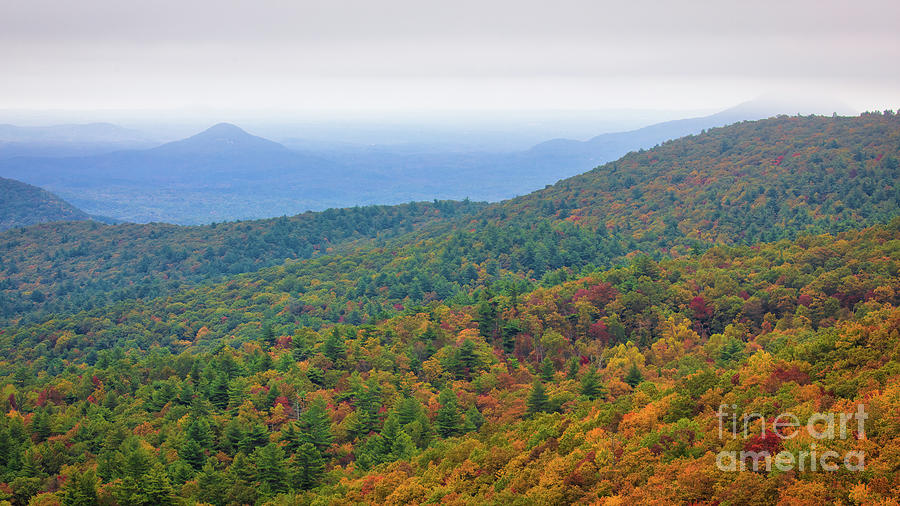 Autumn In The Chattahoochee National Forest Photograph by Doug Sturgess