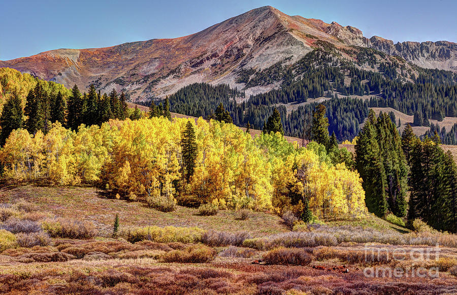 Autumn in the Rockies Photograph by Jean Hutchison