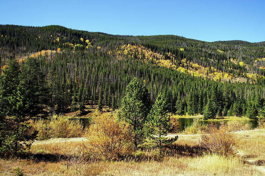Autumn in the Rockies by Richard Risely Autumn in the Rockies by Richard Risely