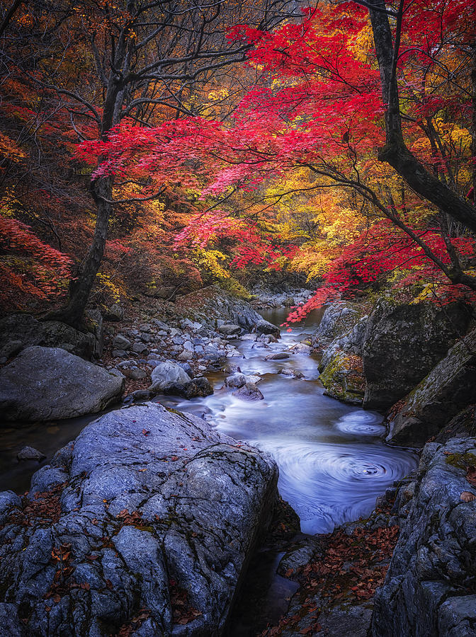 Autumn In The Valley Photograph by Tiger Seo