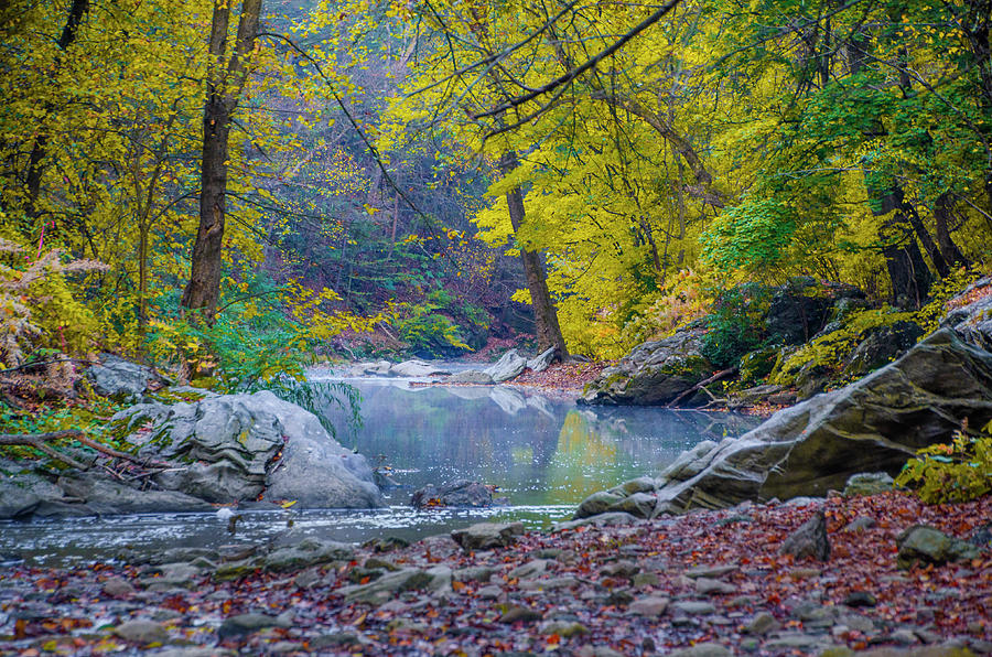 Autumn in the Wissahickon Valley Photograph by Bill Cannon