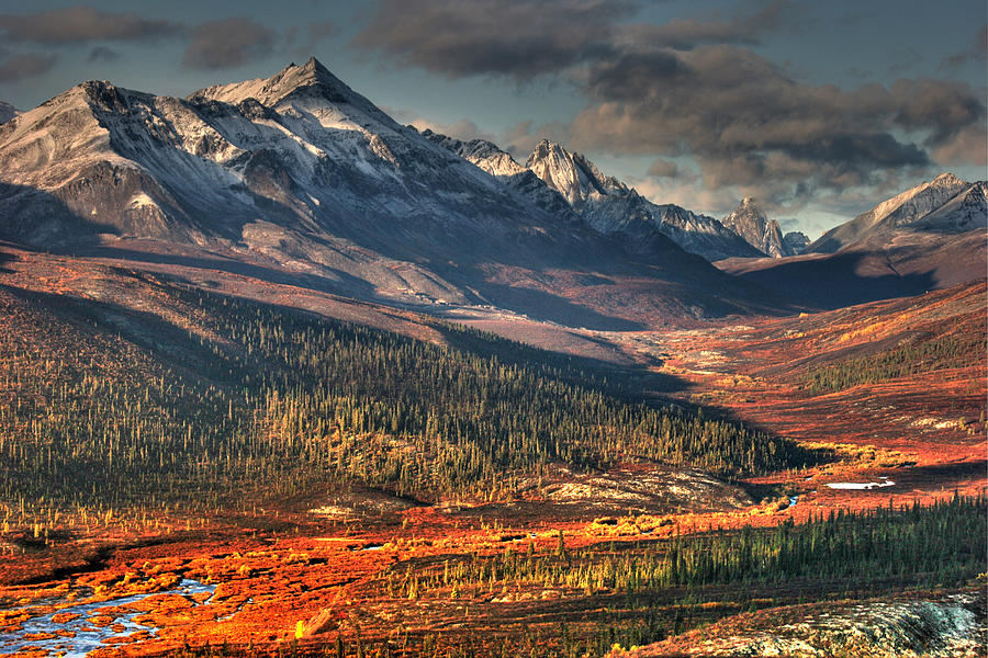 Autumn In The Yukon Photograph by Photo ©tan Yilmaz