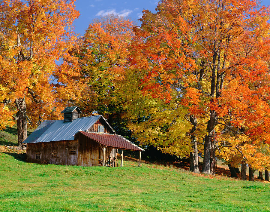 Autumn In Vermont Photograph by Ron thomas
