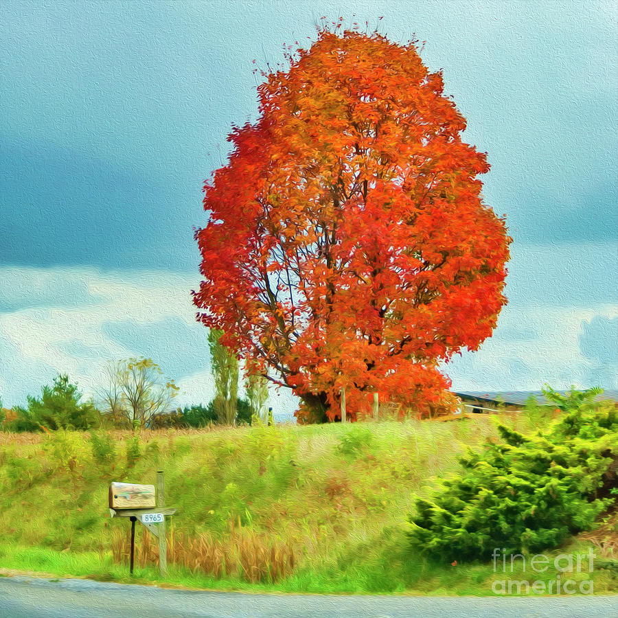 Autumn in Virginia Photograph by Lenore Locken