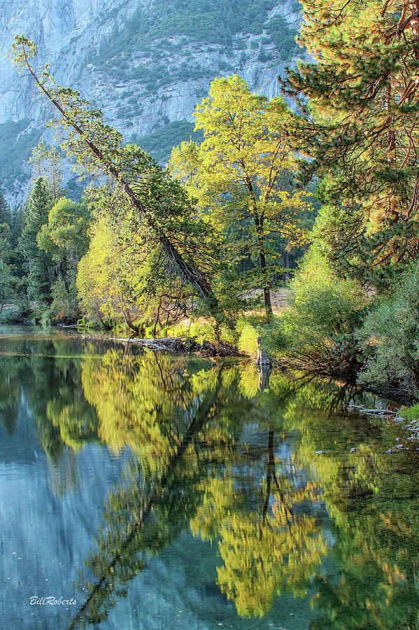 Autumn In Yosemite Photograph by Bill Roberts
