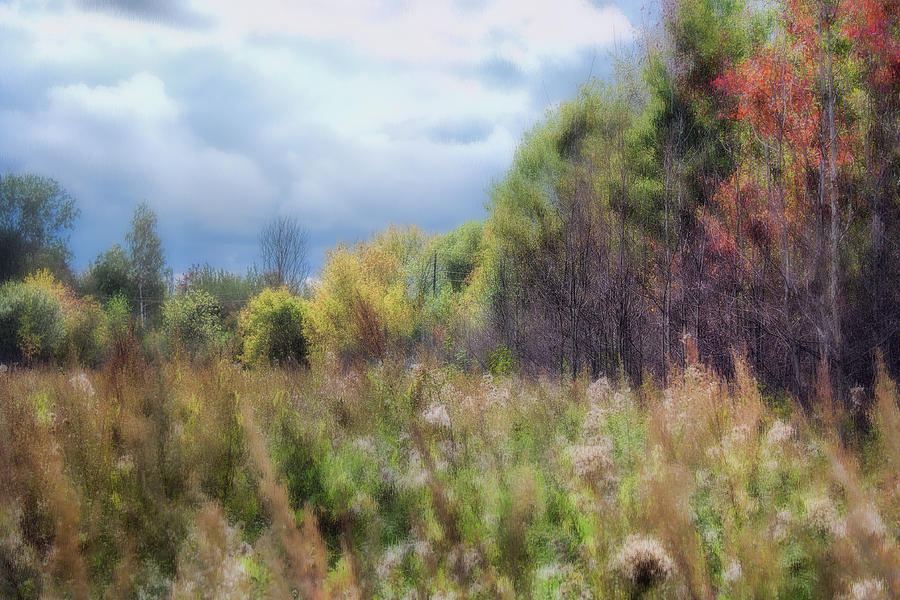 Nature Photograph - Autumn Is Coming by Margarita Buslaeva