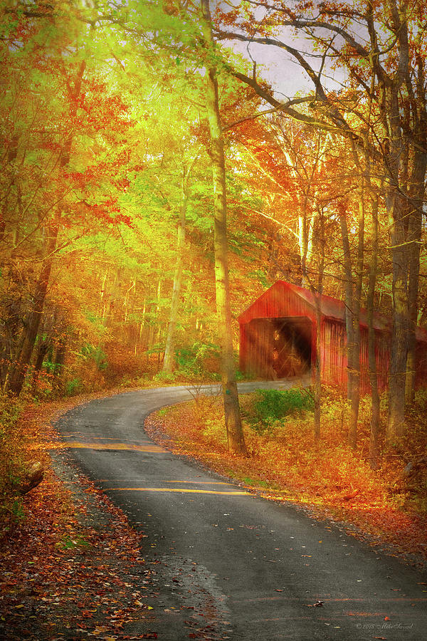Autumn - Just past the bend Photograph by Mike Savad