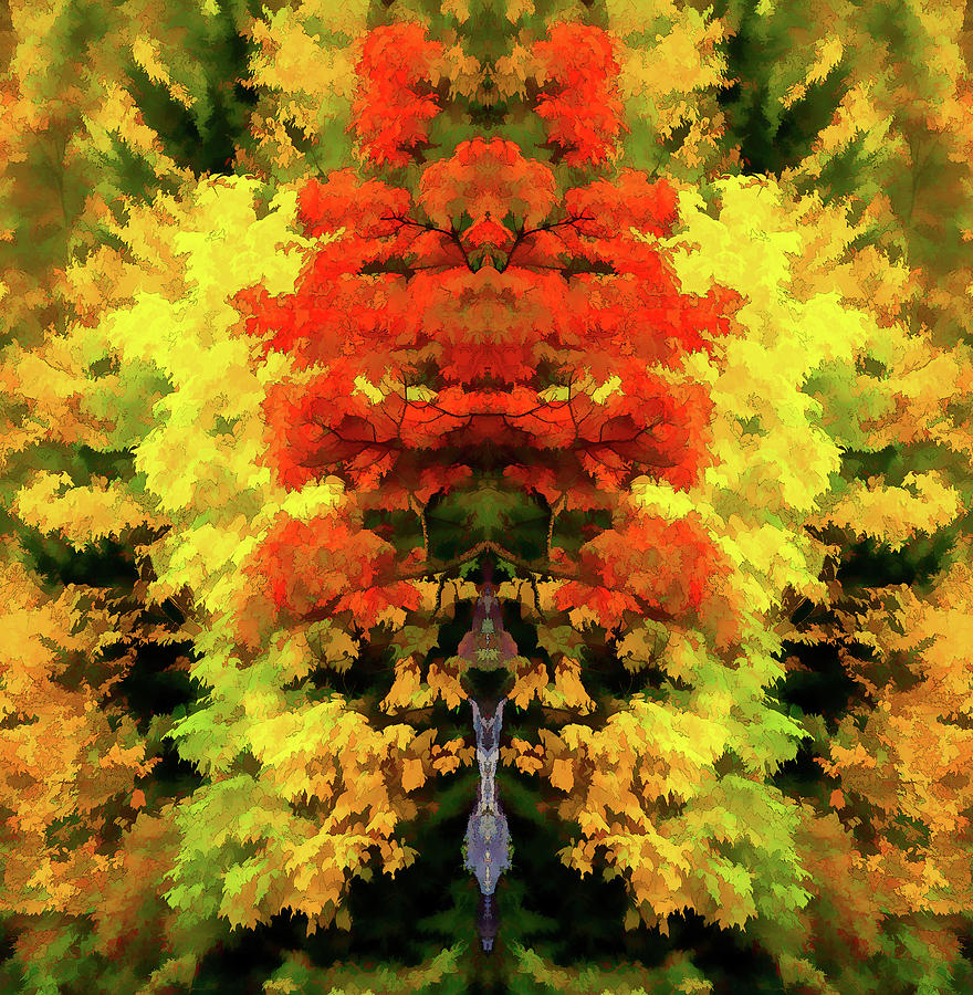 Autumn Kaleidoscope FX Digital Art by Dan Carmichael