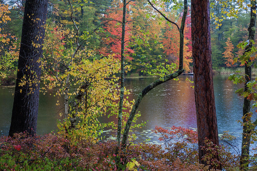 Autumn Lake Maine Photograph by Cliff Wassmann