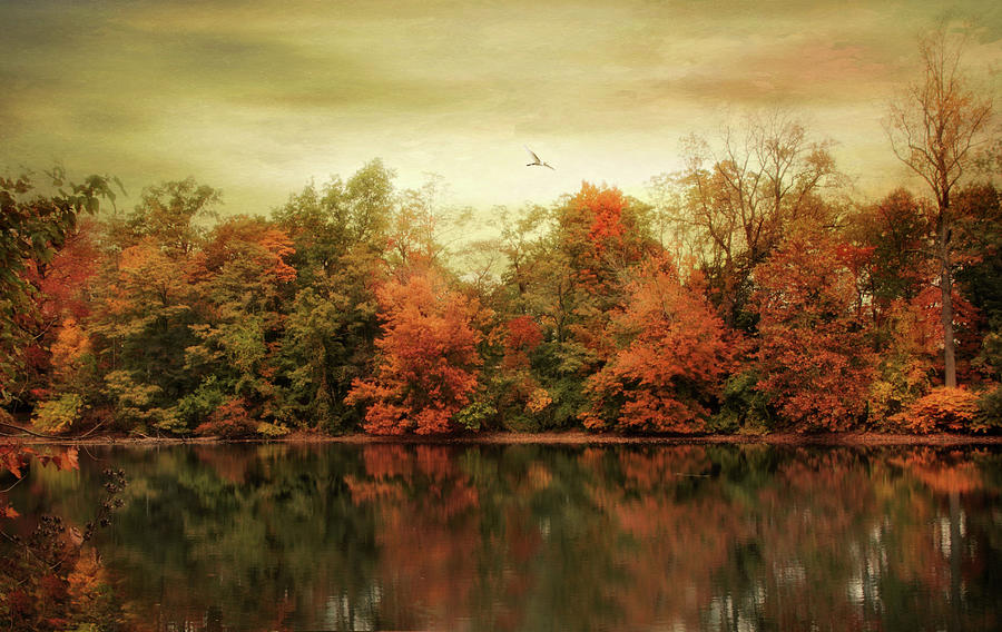 Autumn Lake View Photograph by Jessica Jenney
