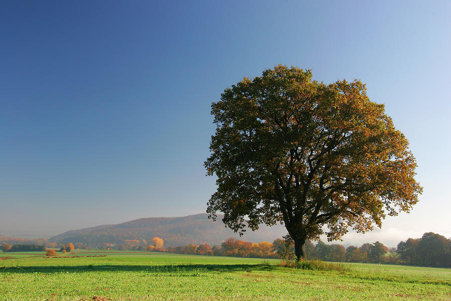 Autumn Landscape Photograph by Avtg