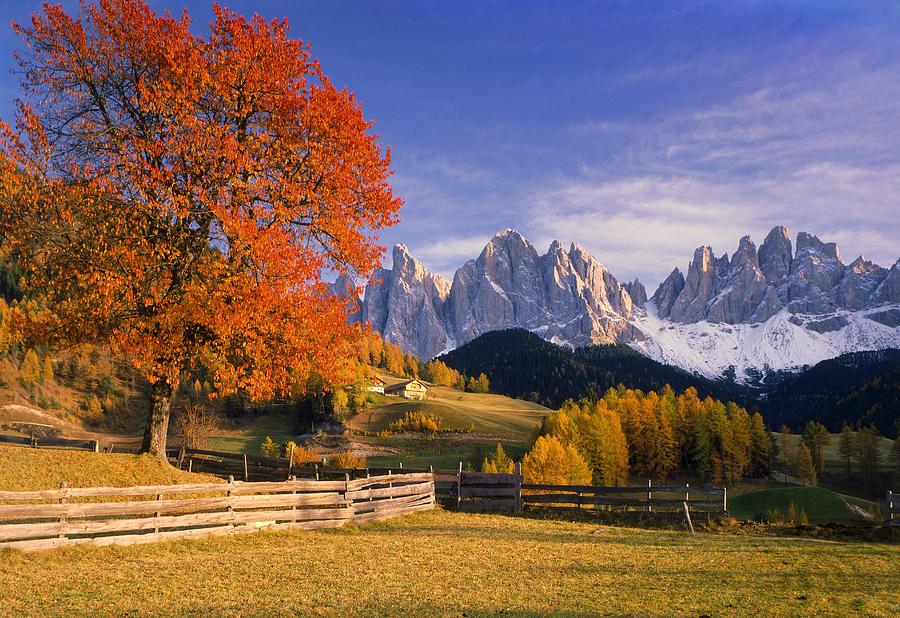 Autumn Landscape, Italy Digital Art by Johanna Huber