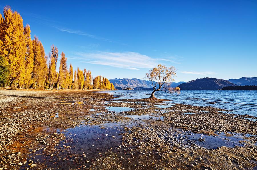 Fall Photograph - Autumn Landscape, Lake Wanaka, New by DPK-Photo