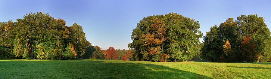Autumn landscape park Photograph by Sun Travels