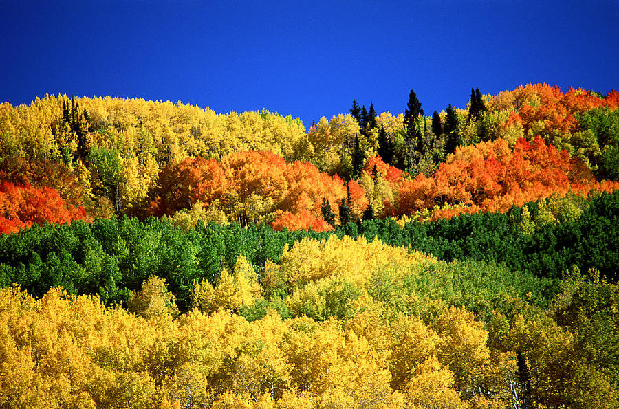 Autumn Landscape Photograph by Photo 24