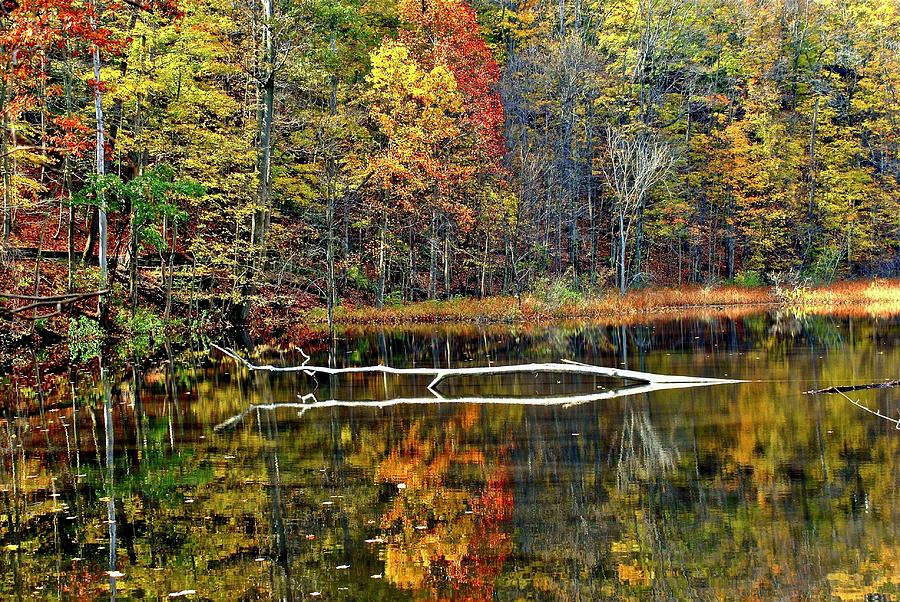 Autumn Landscape Reflecting in a Pond Photograph by Frozen in Time Fine Art Photography