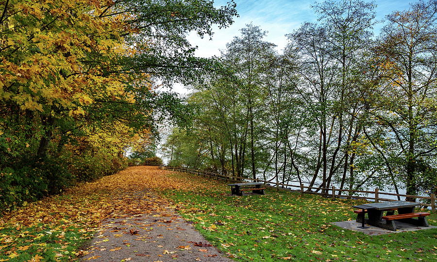 Autumn landscape with picnic area  Photograph by Alex Lyubar