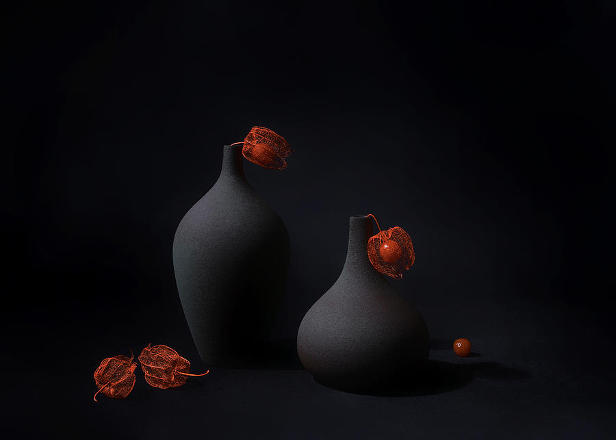 Still Life Photograph - Autumn Lantern by Leechee Z