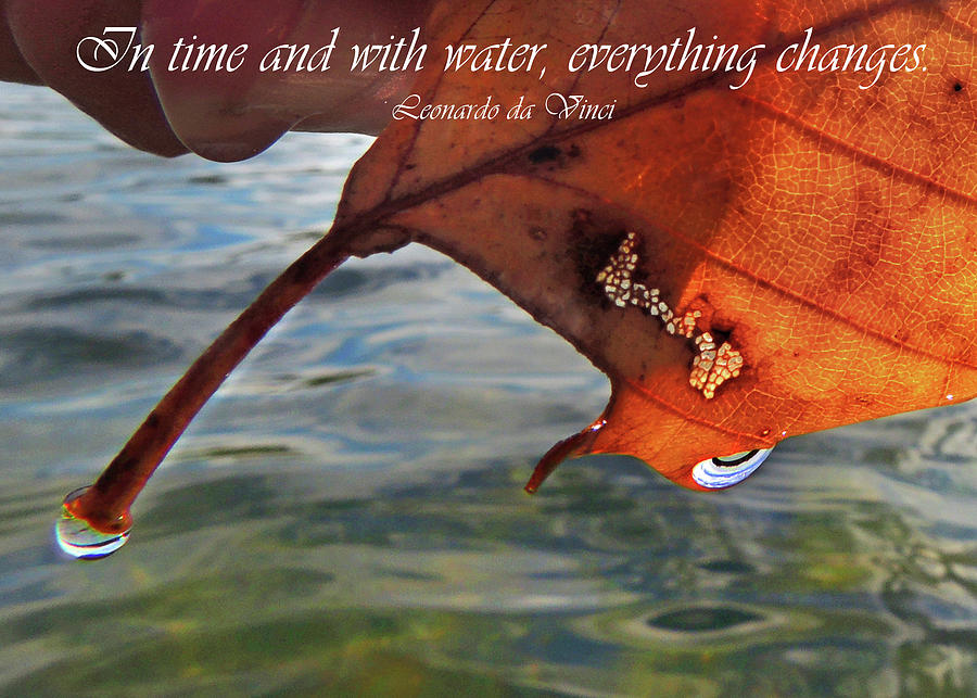 Autumn Leaf and Leonardo Quote Photograph by Nancy Griswold